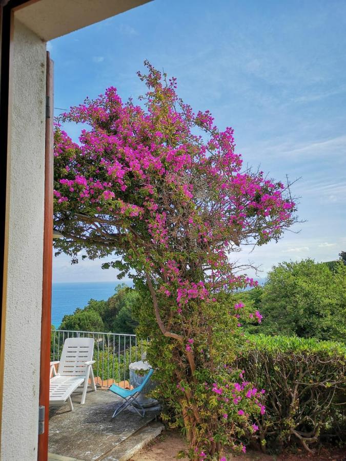 Casa Panoramica Bouganville SantʼAndrea Exterior foto