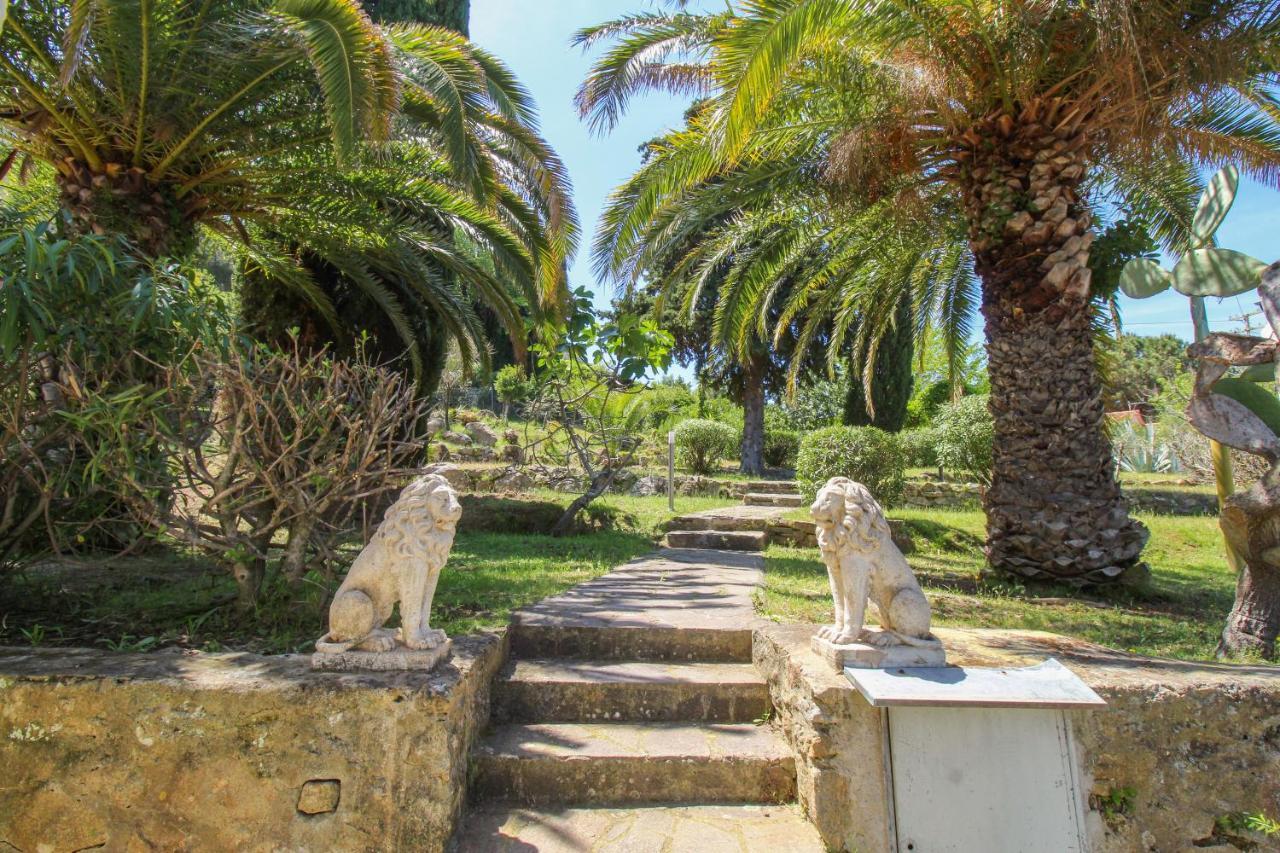 Casa Panoramica Bouganville SantʼAndrea Exterior foto