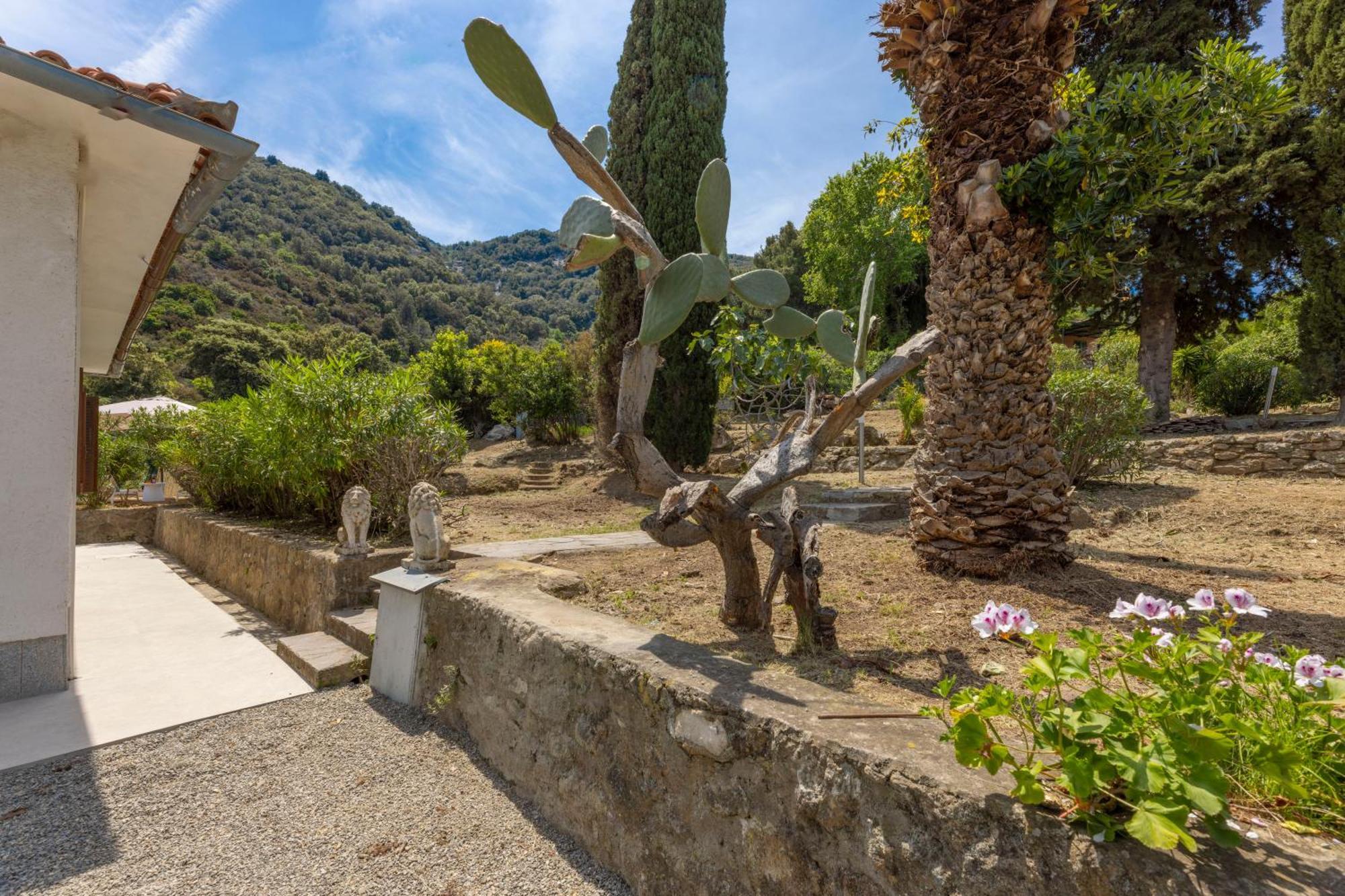 Casa Panoramica Bouganville SantʼAndrea Exterior foto