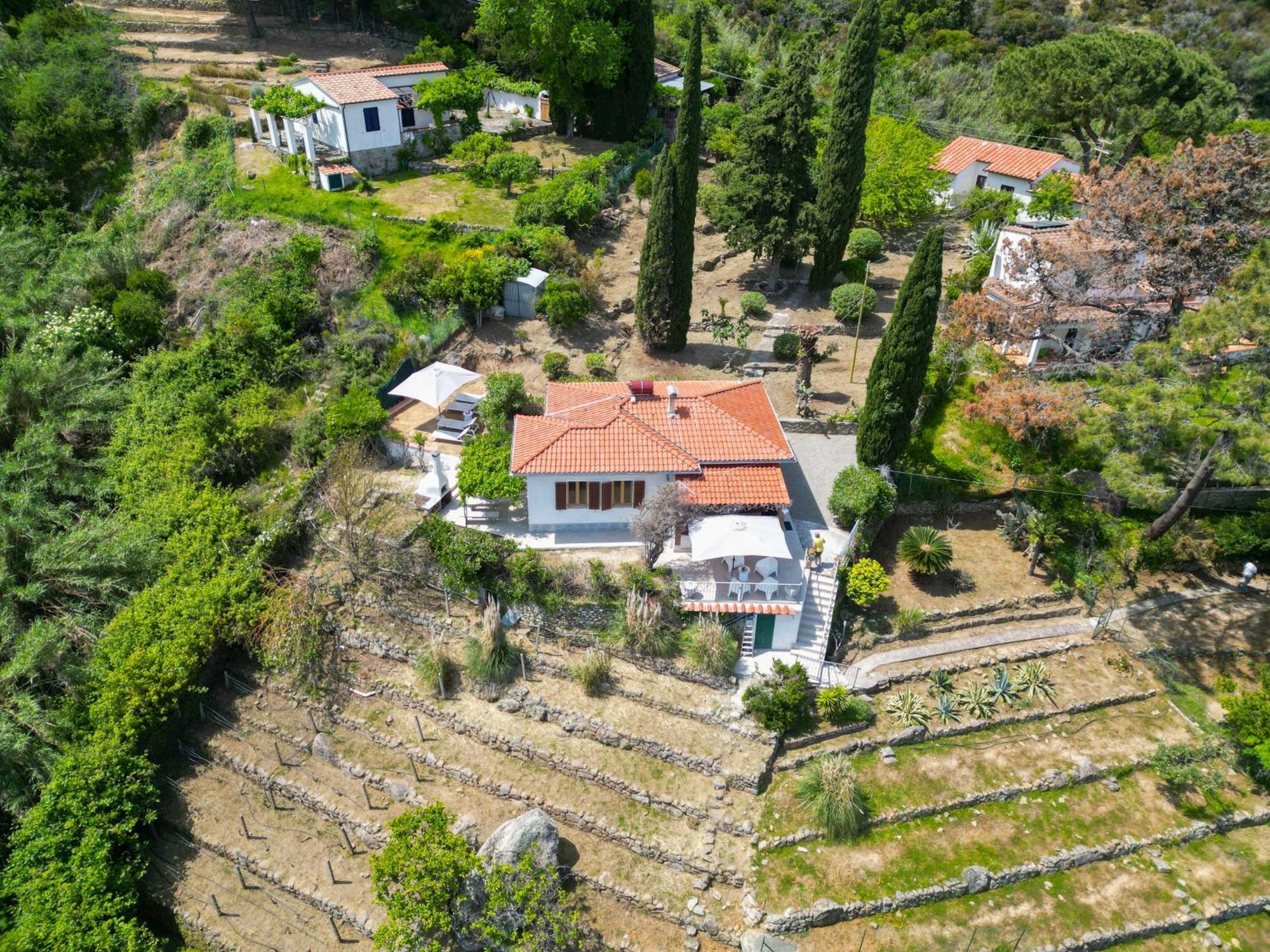 Casa Panoramica Bouganville SantʼAndrea Exterior foto